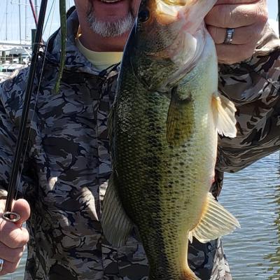 181852531 10208186183610415 4180215810105025387 N